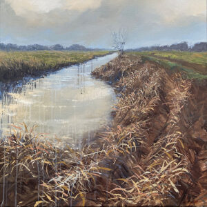 Langs het riet
