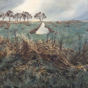 Water bij Peizer-Eeldermaden