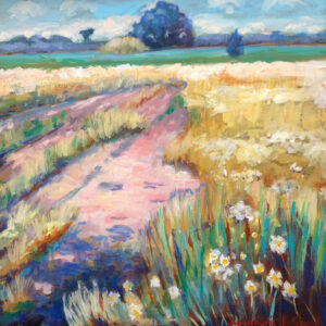 Landschap Drentse Aa I