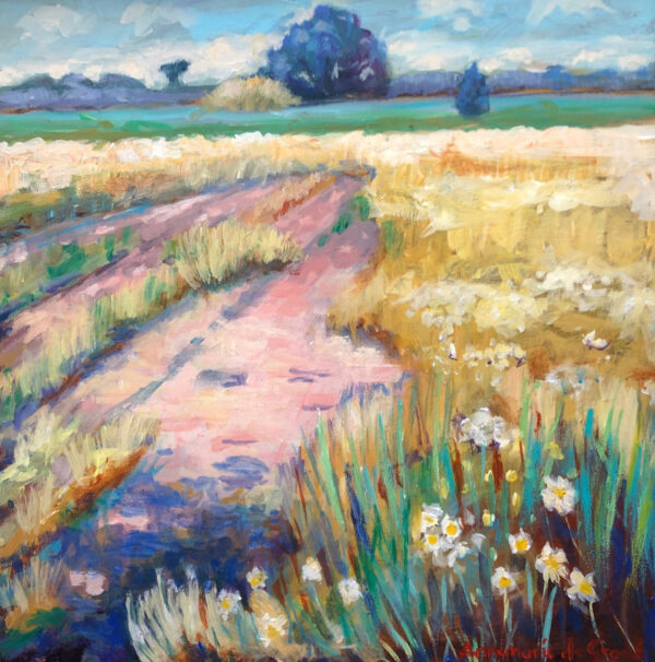 Landschap Drentse Aa I