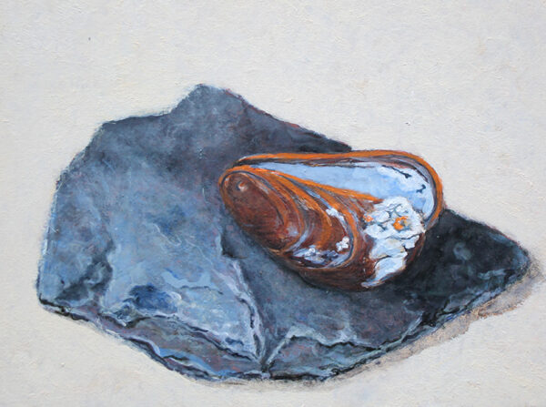 Mossel 1 (verkocht)