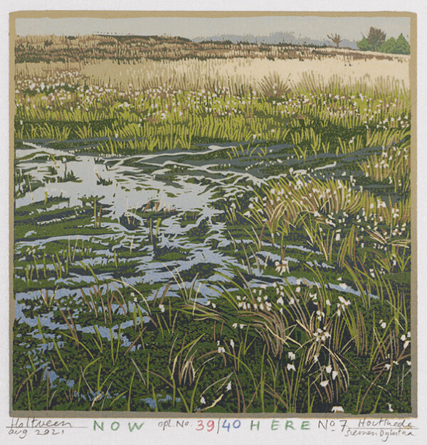 Holtveen (uitverkocht)