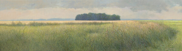 Een Gronings eiland