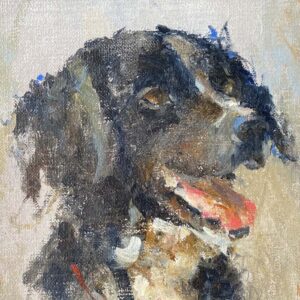 Hond