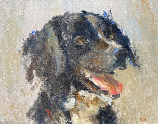 Hond