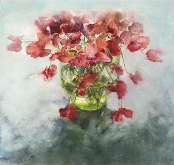 Rode Lathyrus