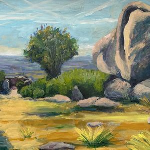 Keltisch landschap (1)