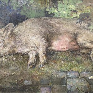 Liggend varken, naar ets van Rembrandt