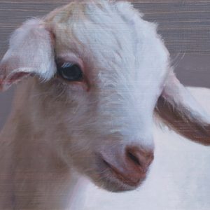 Geitenkopje (1)