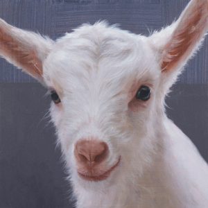 Geitenkopje (2) (verkocht)