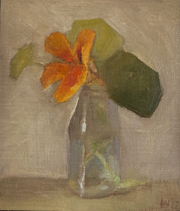Oost Indische Kers oranje