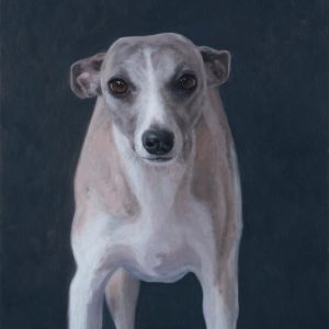 Whippet Ziva
