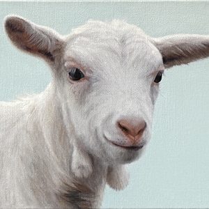 Geit (verkocht)