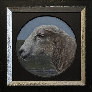 Schapenkopje