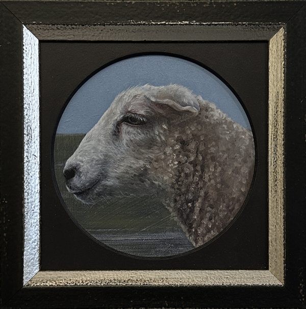 Schapenkopje
