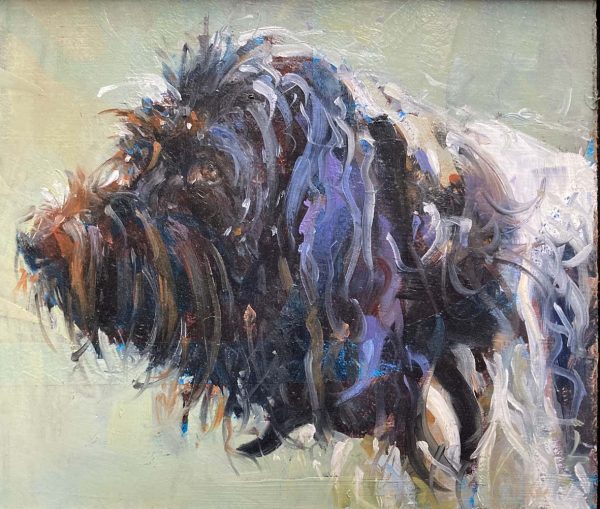 Portret hond (1)
