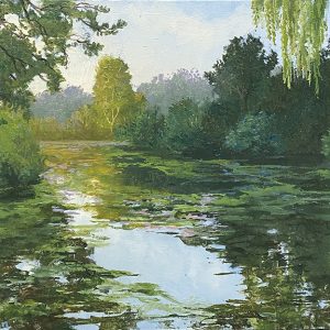 Licht na schaduw (verkocht)