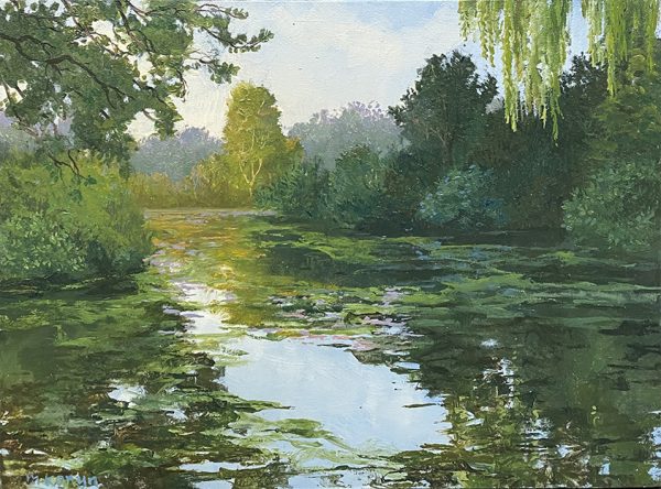 Licht na schaduw (verkocht)