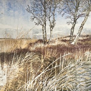Noordsche Veld