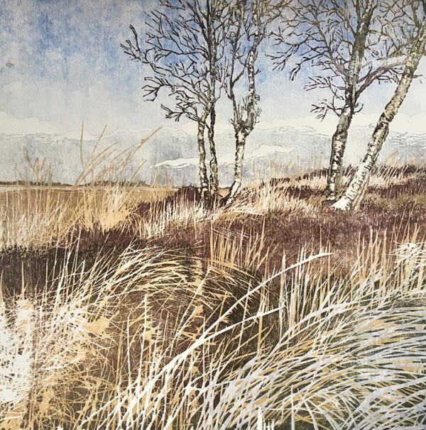 Noordsche Veld