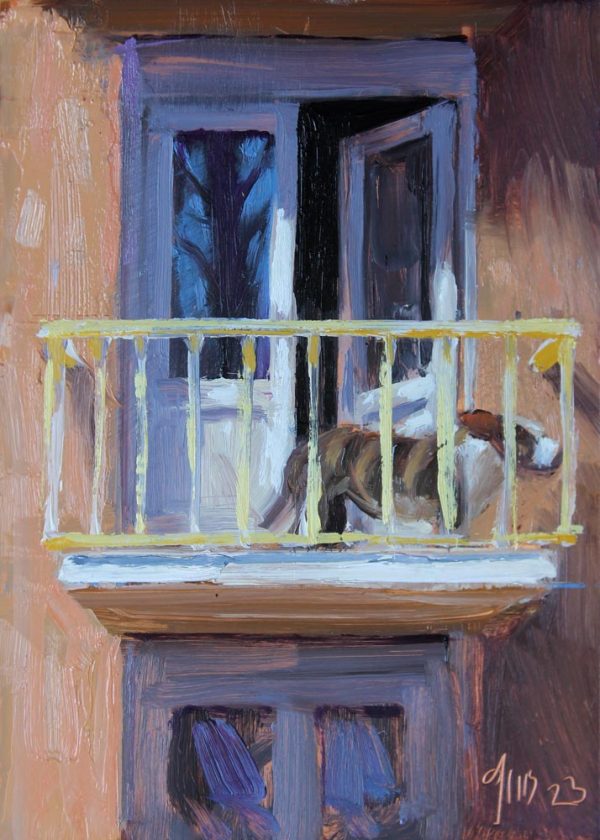 Balkon met hond