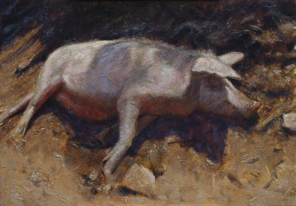 Corsicaans moedervarken