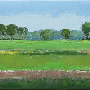 Hollands Landschap