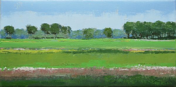 Hollands Landschap