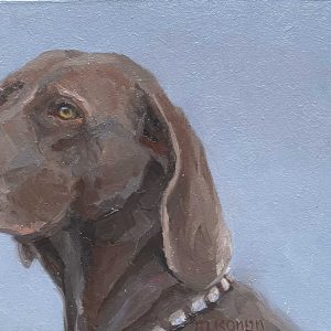 Dagelijkse ontmoetingen, Weimaraner