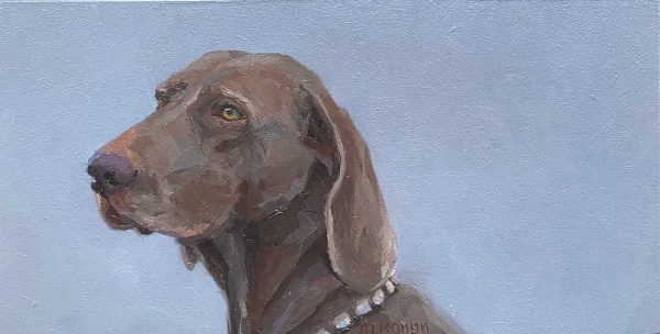 Dagelijkse ontmoetingen, Weimaraner