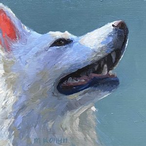 Dagelijkse ontmoetingen, Witte herder