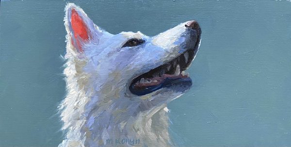 Dagelijkse ontmoetingen, Witte herder