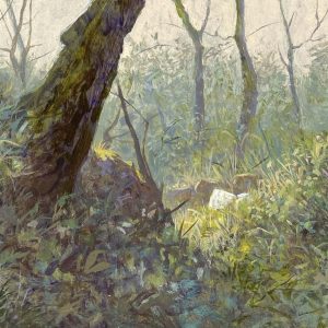 In het bos