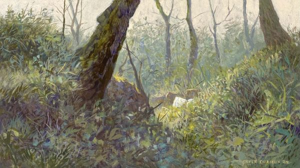 In het bos