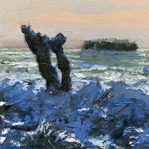 Knotwilg op een winterse dag
