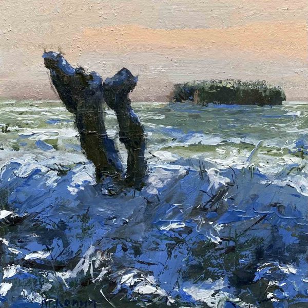 Knotwilg op een winterse dag
