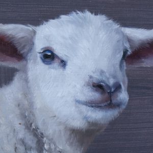 Lam (verkocht)