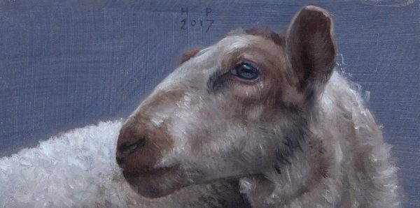 Rood schaap (verkocht)