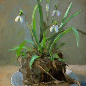 Schoteltje hoop III (2025)