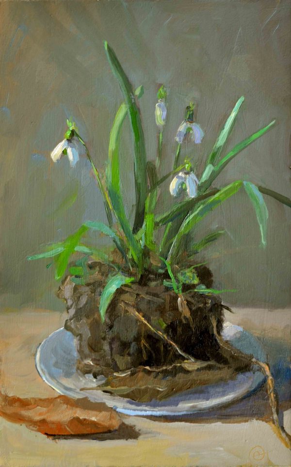 Schoteltje hoop III (2025)