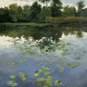 Verdoezelde reflectie