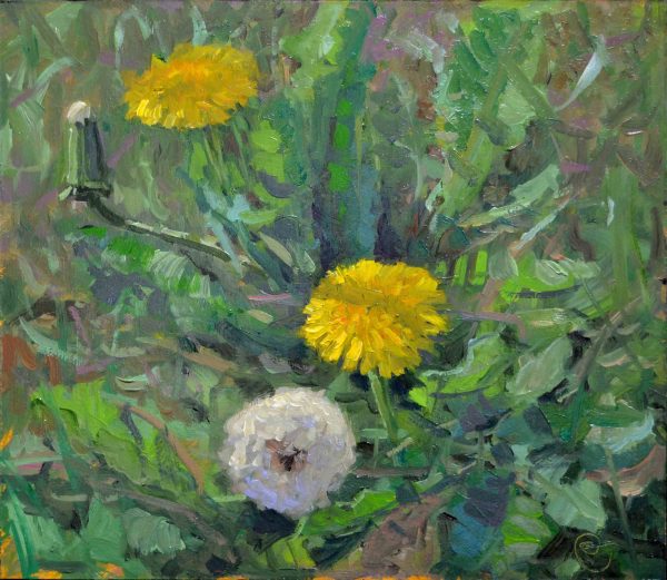 Paardenbloemen