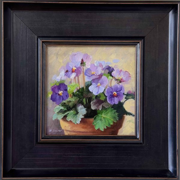 Viooltjes in pot