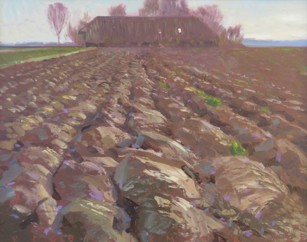 Laat geploegd land