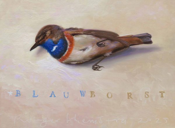 Blauwborst