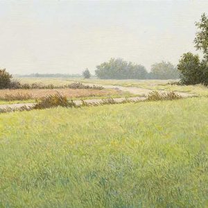 Langs de poldersloot