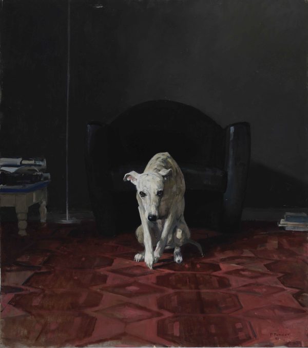 Hondje voor donkere achtergrond
