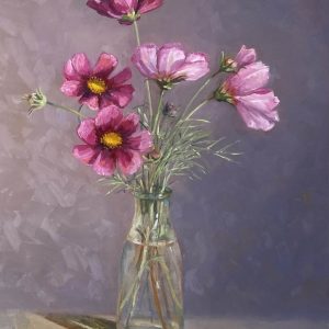 Cosmea
