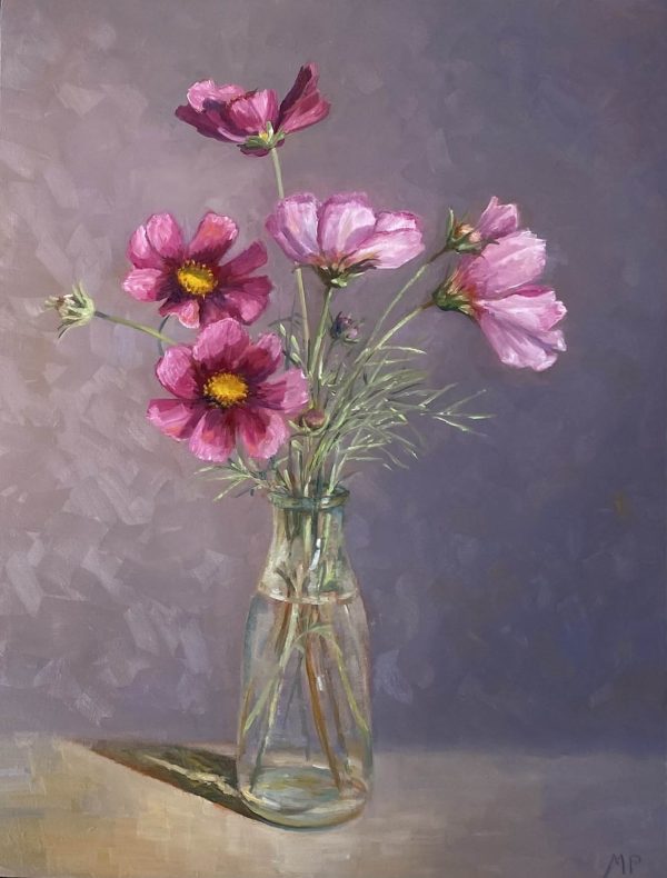 Cosmea