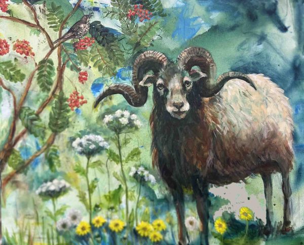 Heideschaap bij de Drentse Aa